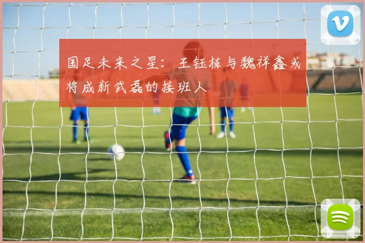 国足未来之星：王钰栋与魏祥鑫或将成新武磊的接班人